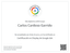 Google Ads Display Certification badge